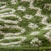 Fern