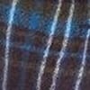 Navy Check