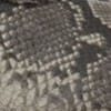 Snakeskin