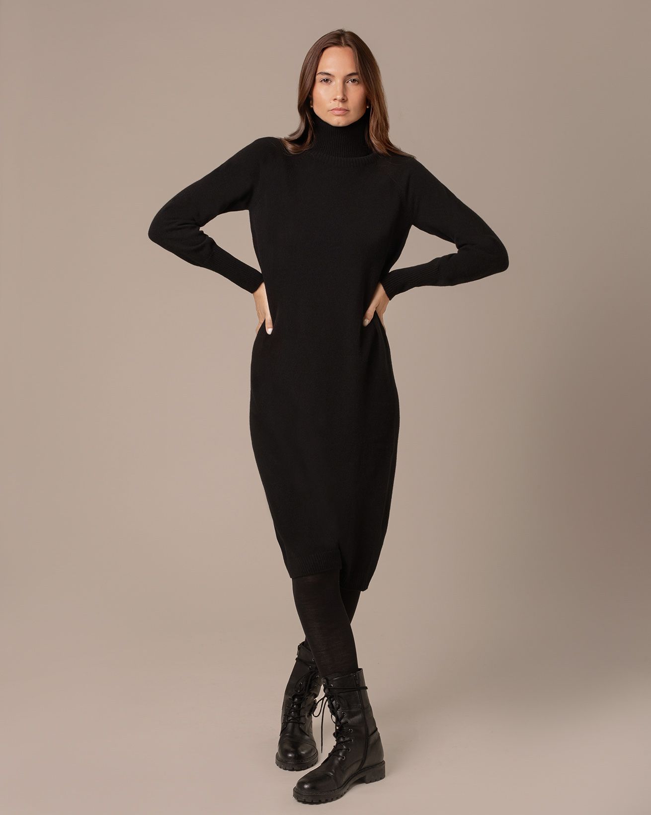 Supersoft Midi Roll Neck Dress