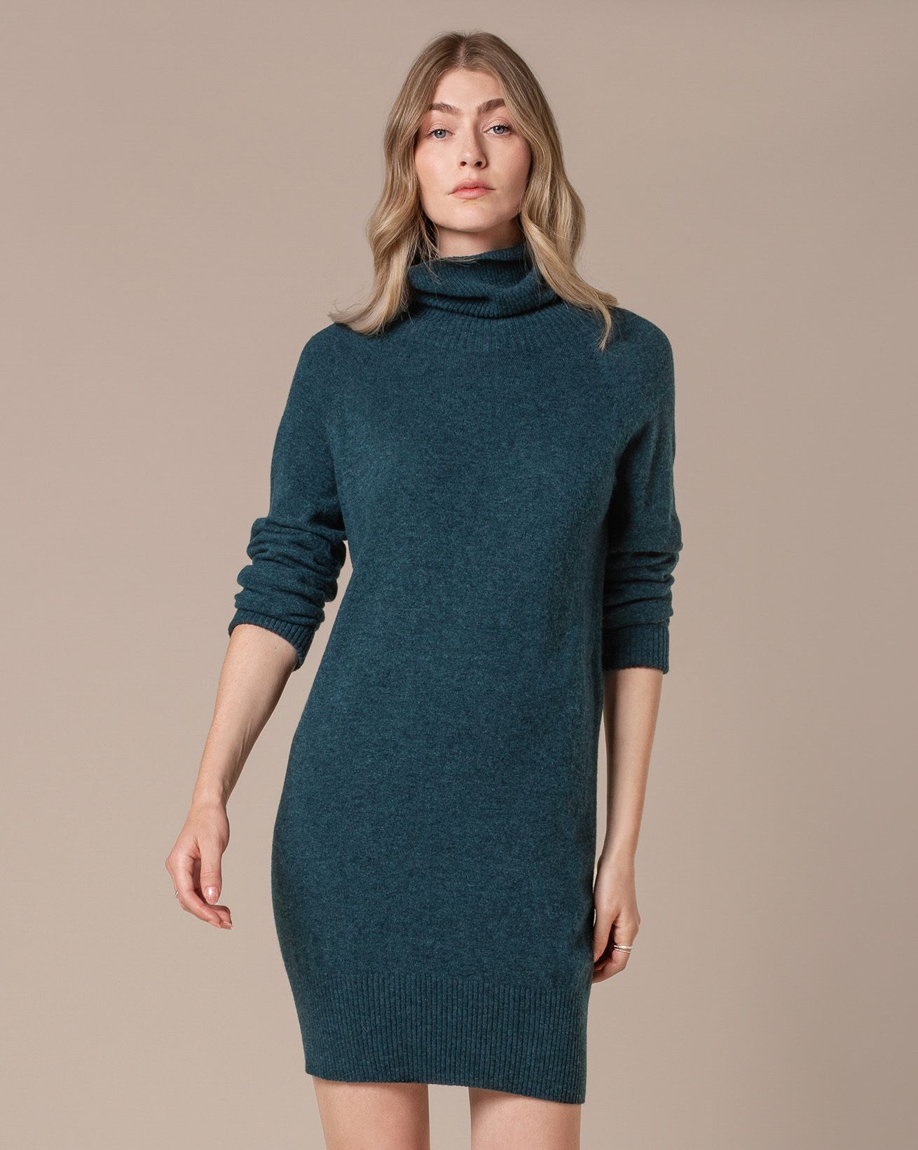 Supersoft Roll Neck Knee Length Dress
