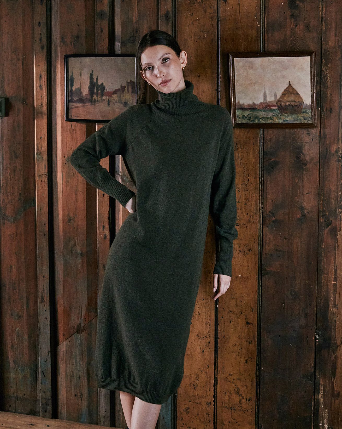 Supersoft Turtleneck Dress