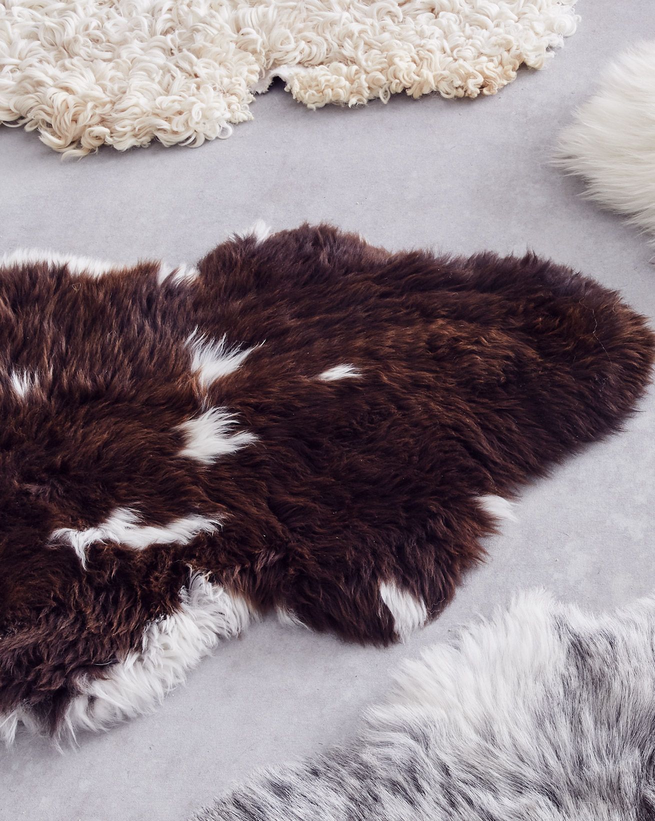 7425-lfs-jacob rug.jpg