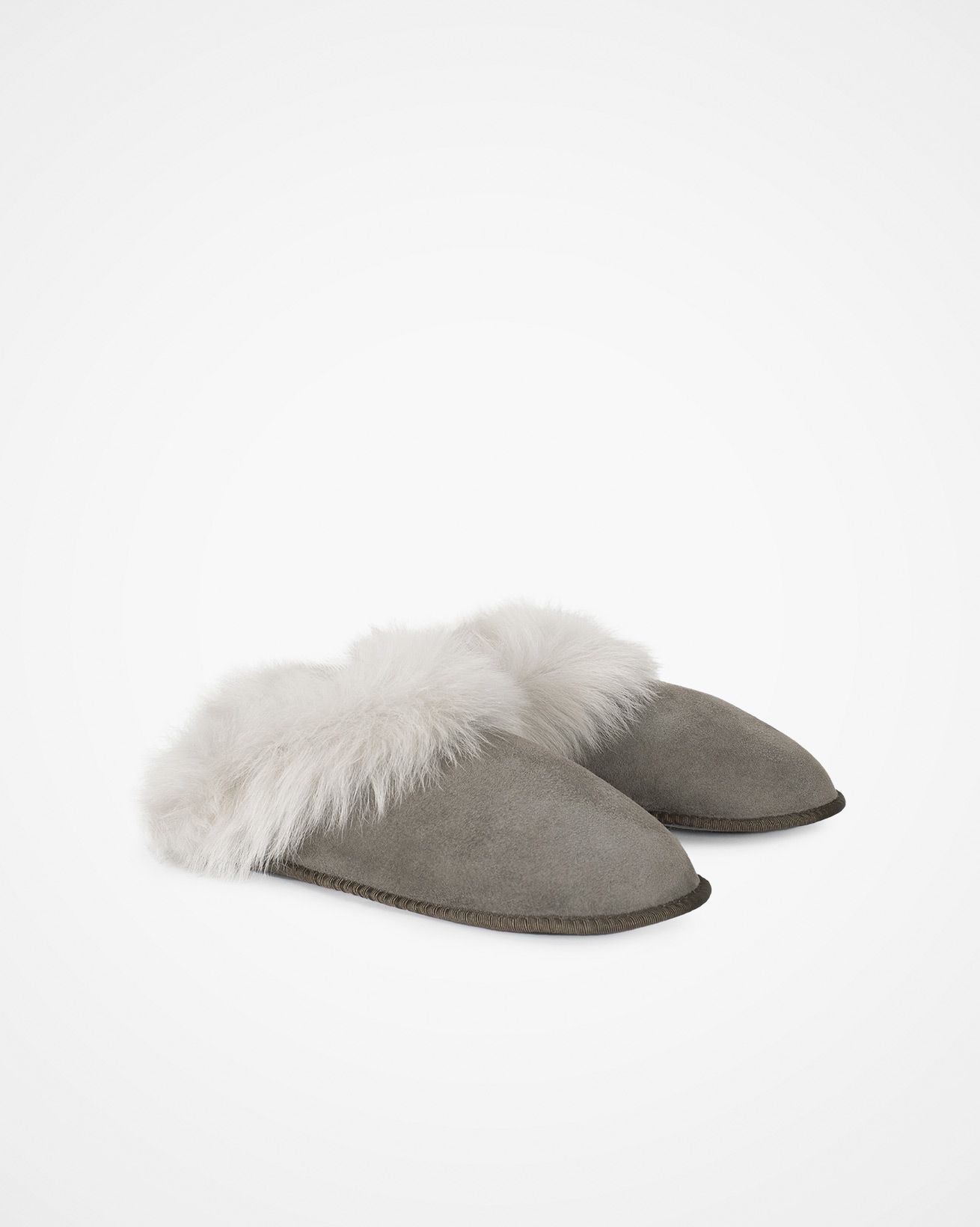 7769_tosacan-slipper_vole_pair2.jpg